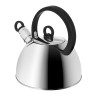 Чайник стальной 2.5л "Кампо" индукция