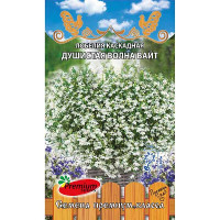 Семена Лобелия Душистая Волна Вайт Премиум Сидс Ц