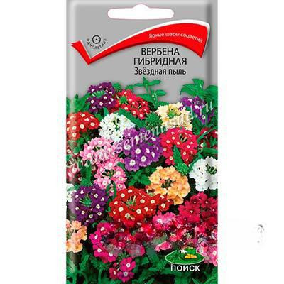 Вербена Звездная пыль Поиск Ц