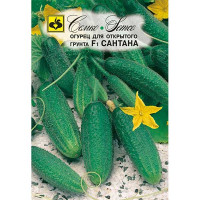 Огурец Сантана Семко Ц