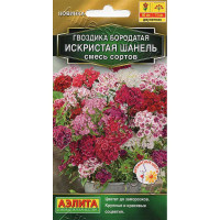 Семена Гвоздика Искристая Шанель Аэлита Ц