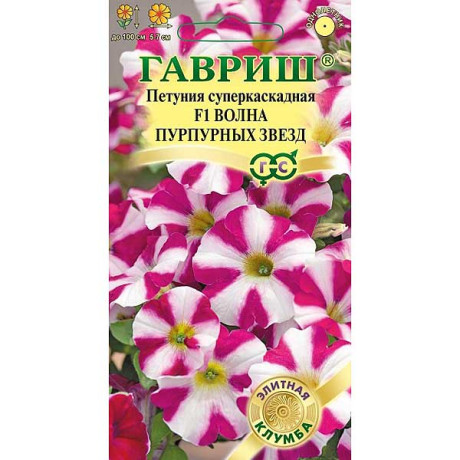 Петуния Волна пурпур. звезд (минитун.) Гавриш Ц