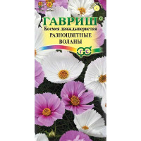 Космея Разноцветные воланы Гавриш Ц