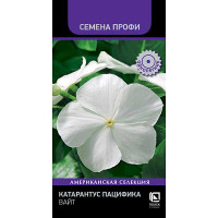 Катарантус Пацифика Вайт Поиск Ц