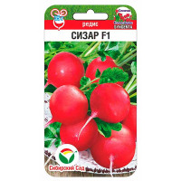Редис Сизар СибСад Ц