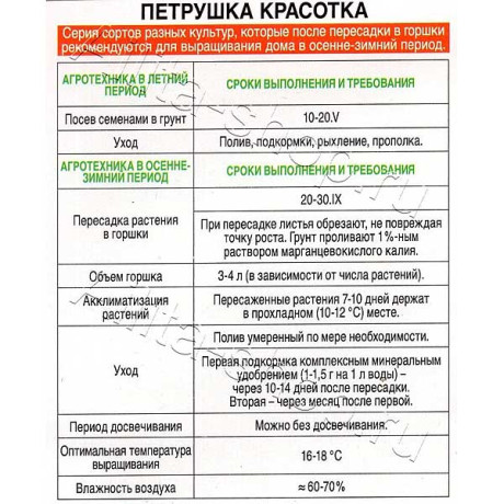 Петрушка кудрявая Красотка Аэлита Ц х10