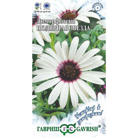 Диморфотека Полярная звезда Гавриш Ц