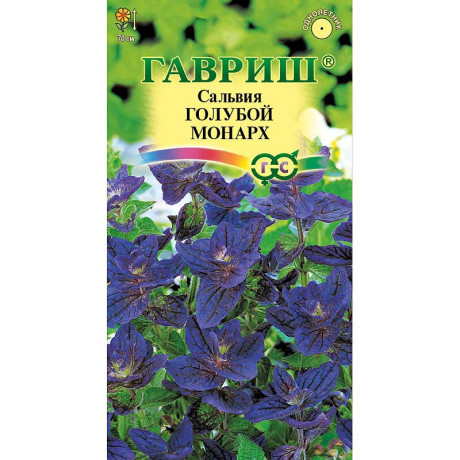 Сальвия Голубой монарх Гавриш Ц
