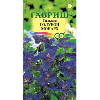 Сальвия Голубой монарх Гавриш Ц