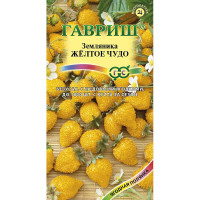 Земляника Желтое чудо Гавриш Ц