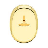 Накладка под сувальду DP-11-S-G со Шторкой  (Золото) Овальная Apecs  (1штука!)  \24