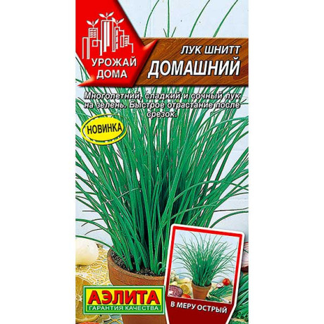 Лук шнитт Домашний Аэлита Ц