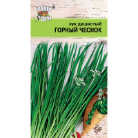 Лук душистый Горный чеснок Урожай у дачи Ц