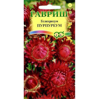 Гелихризум Пурпуреум Гавриш Ц