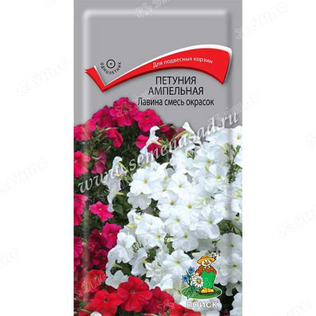 Петуния Лавина смесь амп. Поиск Ц