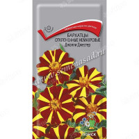 Бархатцы Джолли Джестер Поиск Ц