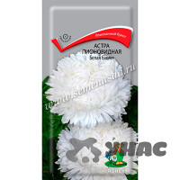 Астра Белая башня Поиск Ц