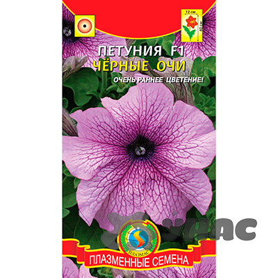 Петуния Черные очи Плазма Ц