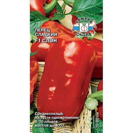 Перец Слон Седек Ц