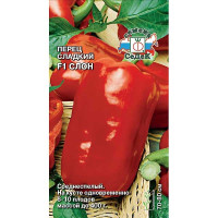 Перец Слон Седек Ц