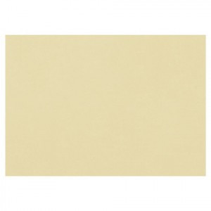 Бумага для пастели (1 лист) FABRIANO Tiziano А2+ (500х650 мм), 160 г/м2, песочный, 52551006