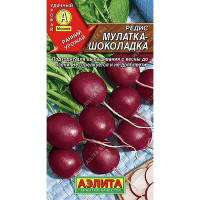 Редис Мулатка-шоколадка Аэлита Ц