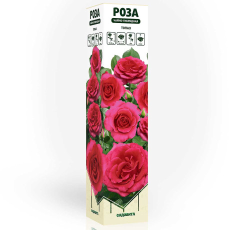 Роза чайно-гибридная Топаз Садовита