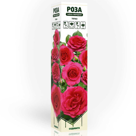 Роза чайно-гибридная Топаз Садовита