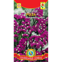 Статице Роза Плазма Ц