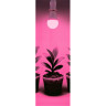 INBLOOM Лампочка для растений, 5x5.4см, 80LED (52R+28B), Е27, 3.6Вт, PC