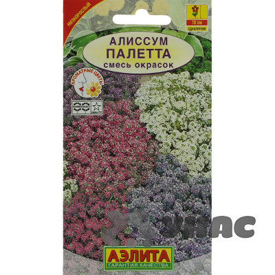 Алиссум Палетта смесь окрасок Аэлита Ц