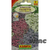 Алиссум Палетта смесь окрасок Аэлита Ц