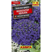 Лобелия Император Вильям Аэлита Ц