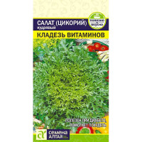 Салат Эндивий Кладезь Витаминов СемАлт Ц