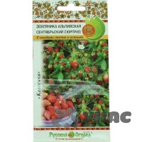 Земляника Сентябрьский сюрприз НК Ц