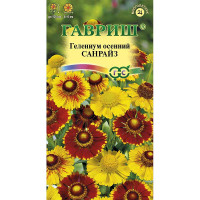 Гелениум осенний Санрайз Гавриш Ц