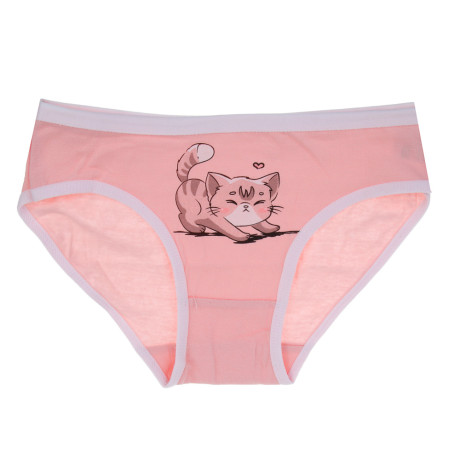 GALANTE Трусы-слипы для девочек 2 шт, р.98-104, 95%хлопок, 5%спандекс, разноцветный, НБ25-23