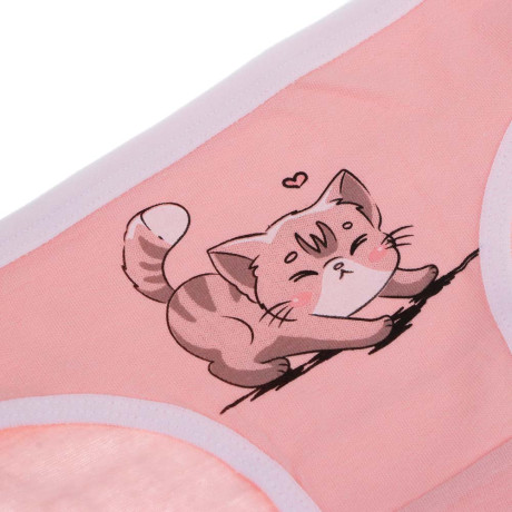 GALANTE Трусы-слипы для девочек 2 шт, р.98-104, 95%хлопок, 5%спандекс, разноцветный, НБ25-23