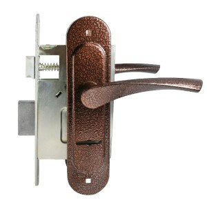 Птимаш ЗВ9-4.07 (ЗВ9-0623) с пружиной медь Замок врезной с/руч (10)