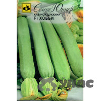 Кабачок Хобби цуккини Семко Ц