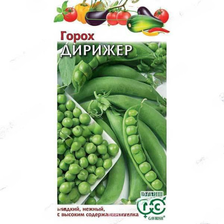 Горох Дирижёр Гавриш Ц