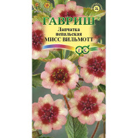 Лапчатка Мисс Виллмонтт непальская Гавриш Ц