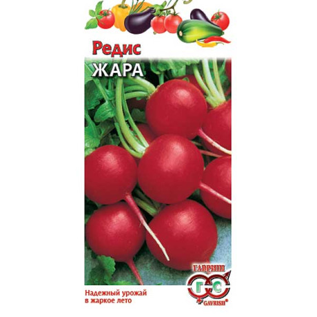 Редис Жара  Гавриш Ц