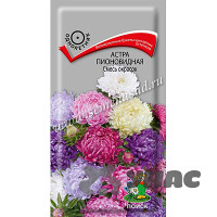 Астра пионовидная смесь Поиск Ц