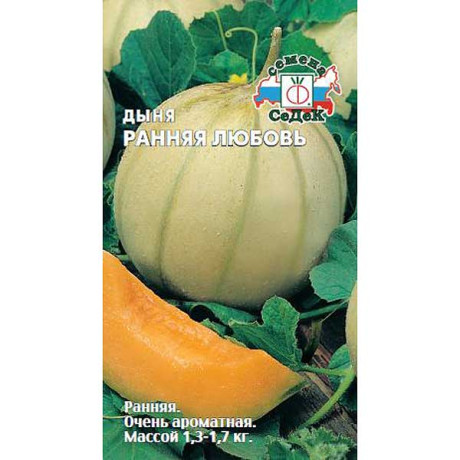Дыня Ранняя любовь Седек Ц