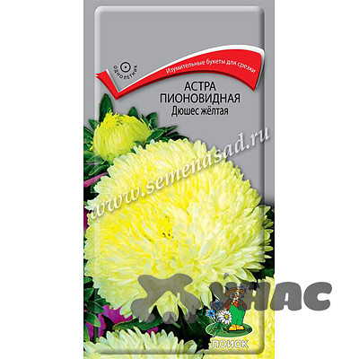 Астра Дюшес желтая пионовидная Поиск Ц