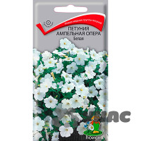 Петуния Опера Белая Поиск Ц