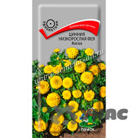 Циния Фея Желтая низкорослая Поиск Ц