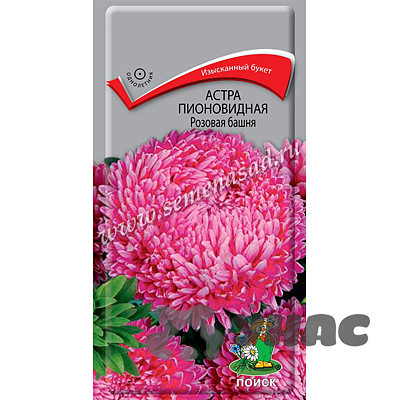 Астра Розовая башня Поиск Ц