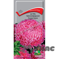 Астра Розовая башня Поиск Ц